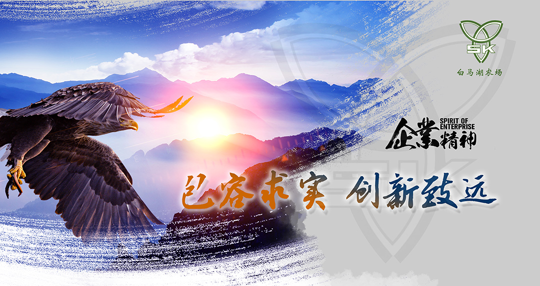 企业精神