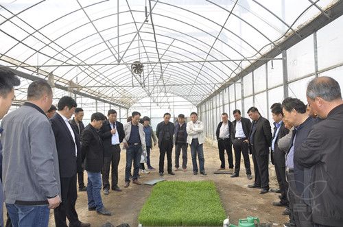 白马湖分公司举办培育壮秧技术培训会