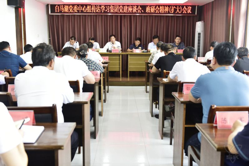 传达学习集团党建座谈会和政研会精神
