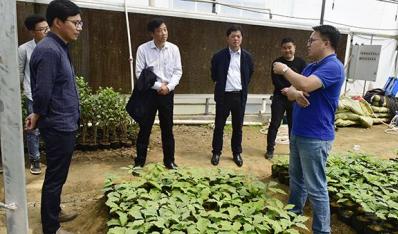 农场公司邀请专业人士现场指导林苗生产