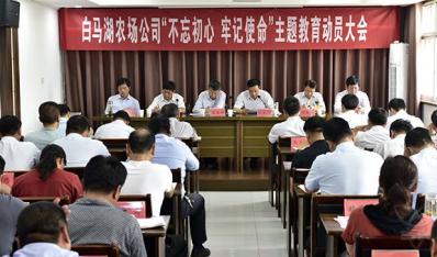 农场公司精心动员、科学布局开展主题教育