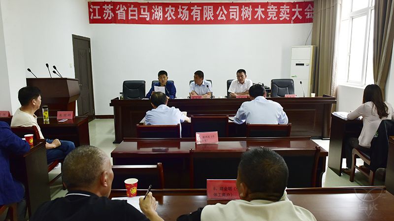 农场公司成功竞卖一批林木