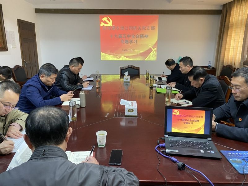 农场公司机关党支部集中学习十九届五中全会精神