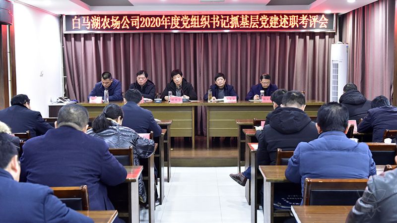 农场公司开展党组织书记抓基层党建述职考评