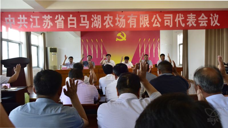 农场公司召开党代表会议成功选举产生淮安区党代会代表