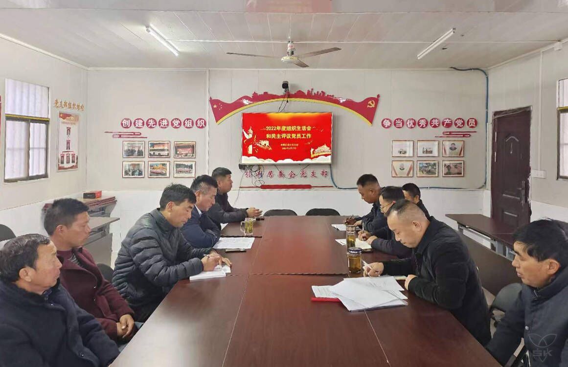 孙谢居委会党支部召开2022年度组织生活会