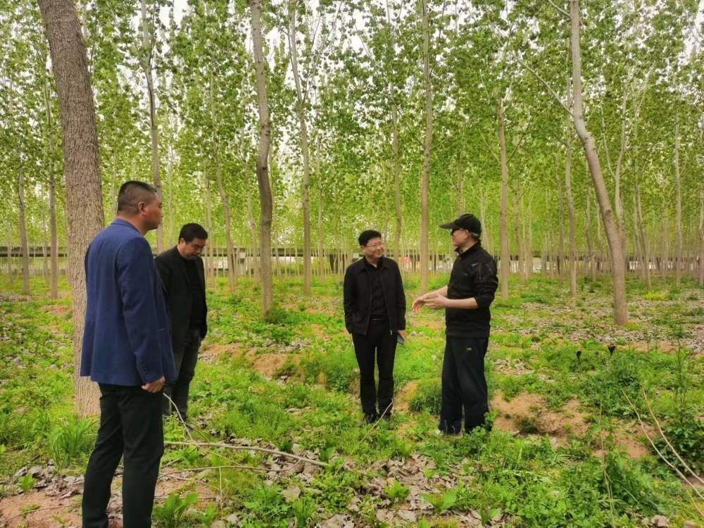 南林大唐罗忠教授来农场公司考察调研林业项目
