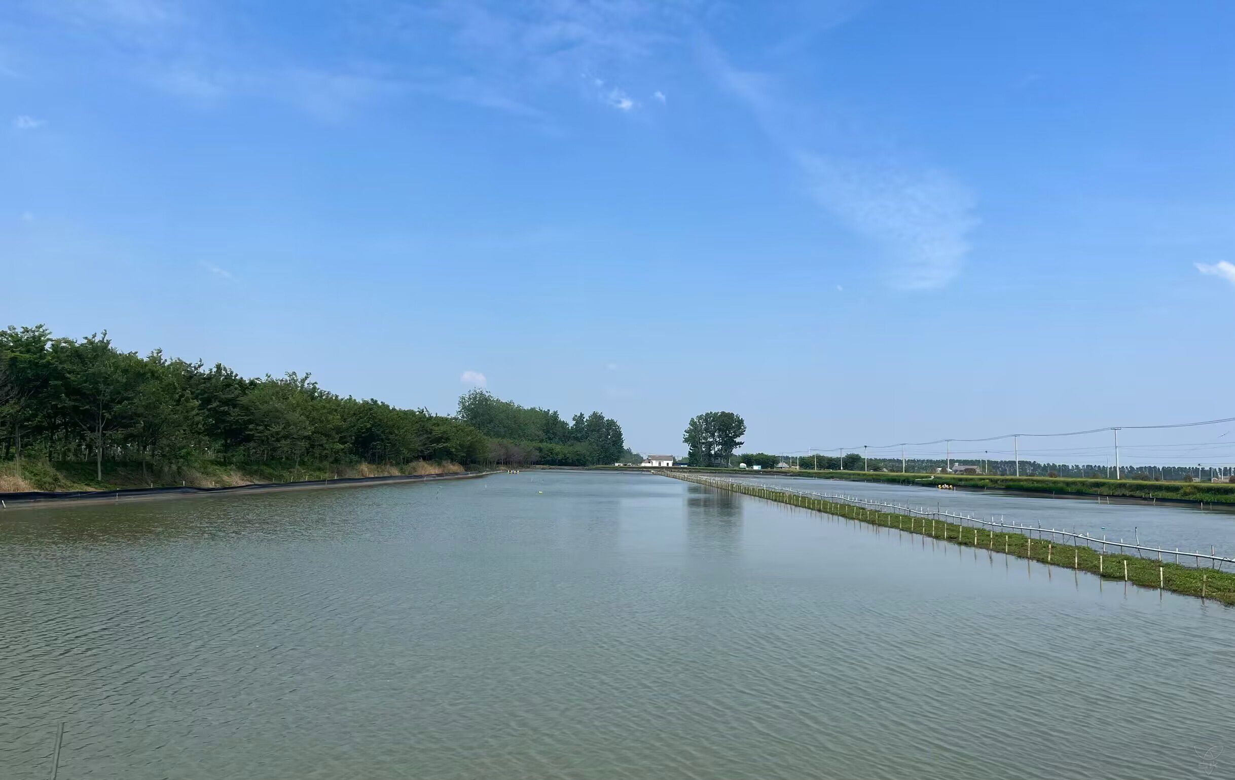 畜水中心：生态养殖让小龙虾成“致富虾”
