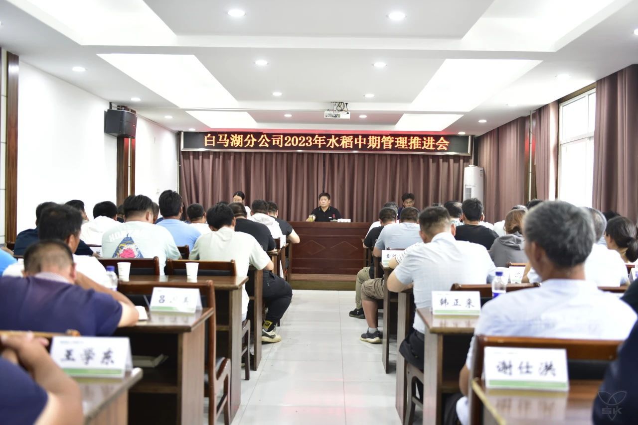 白马湖分公司召开2023年水稻中期管理现场推进会