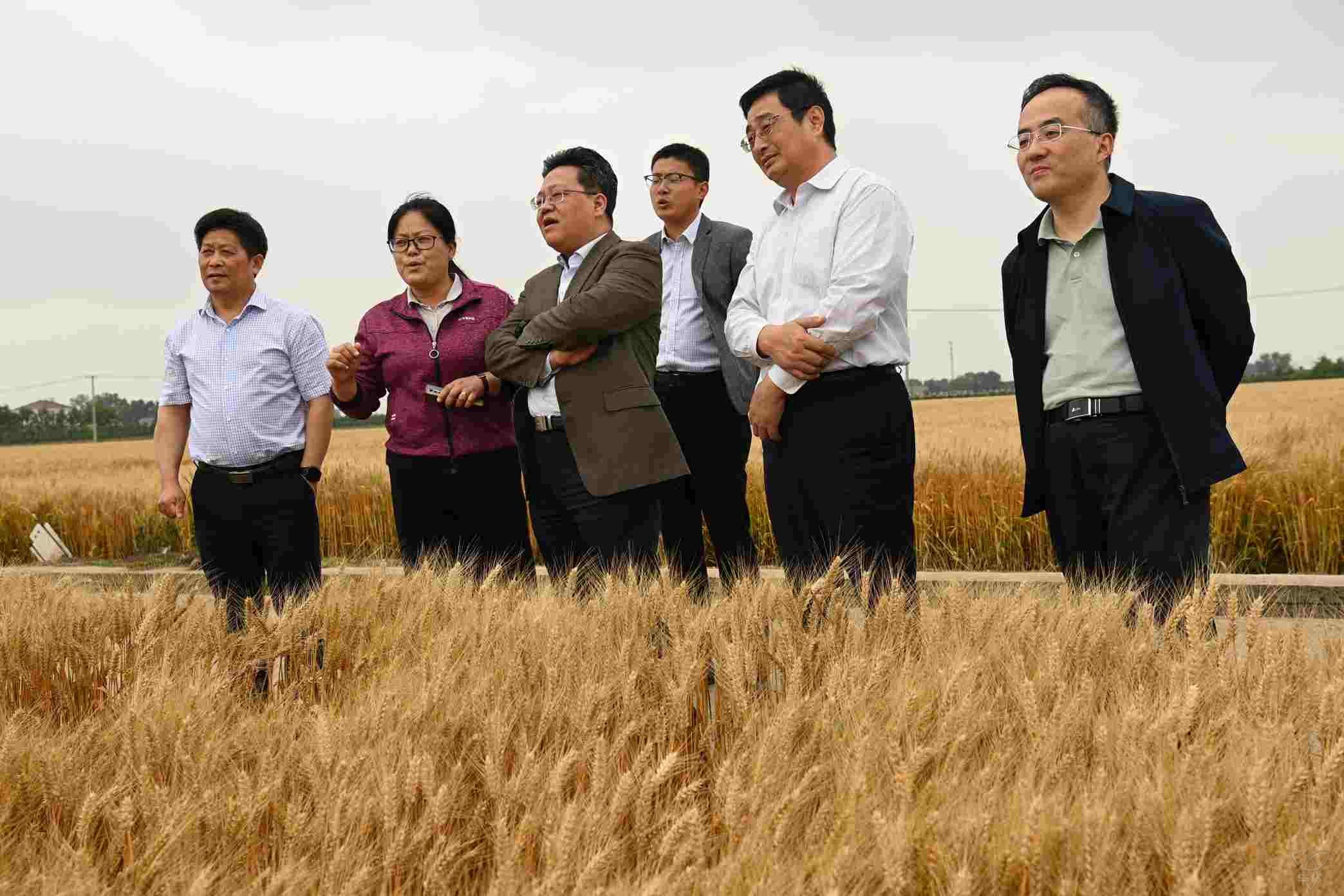 省国资委副主任郁平来农场公司调研指导