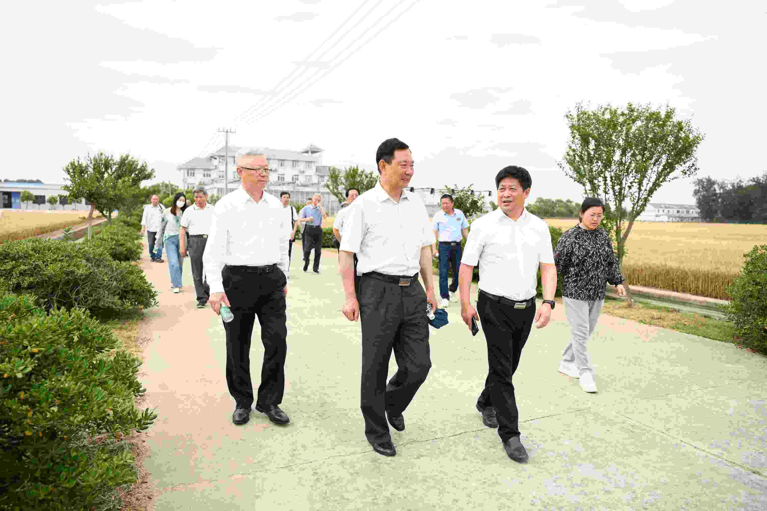 省属企业老领导来农场公司参观考察