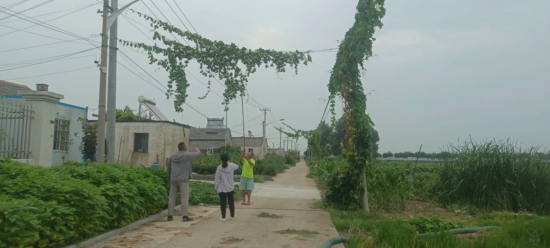 六支居委会：消除触电隐患 守护平安家园