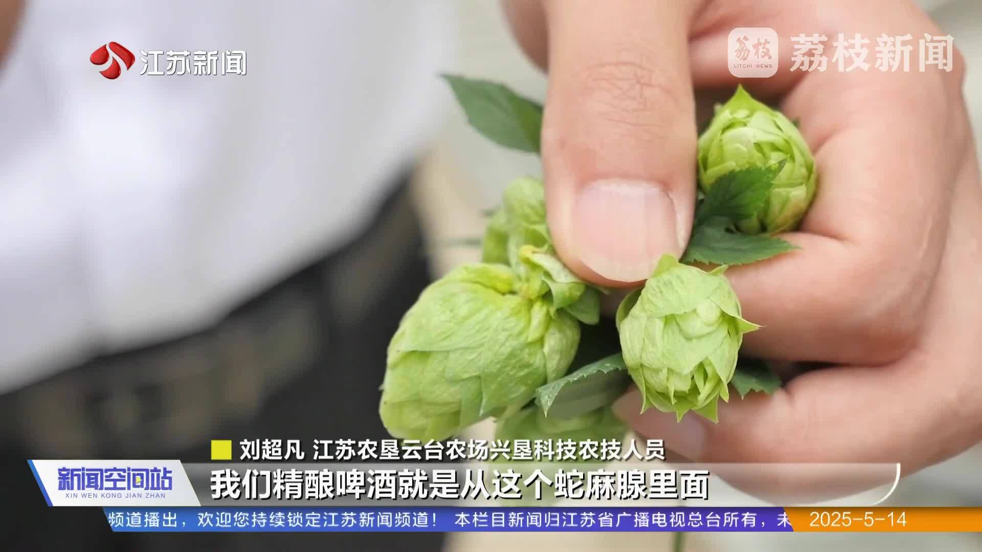 种植精细化 共创绿色未来 连云港：标准引领政企携手 擦亮“中国酿造”名片