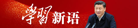 学习新语